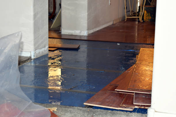 Professional Water Damage Restoration technician working in Fairview, WV